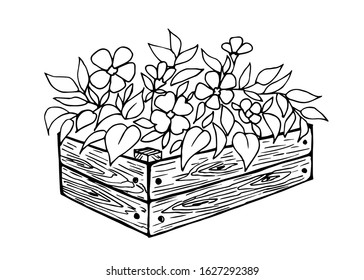 Hand-drawn black line vector illustration. Spring flowers in a box of wooden boards, flower pots, isolated on a white background. For garden decor, terrace, balcony.