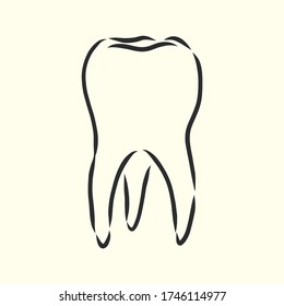 Hand-drawn black lines sketch molar, tooth. Doodle drawing. Object, Element, icon Component for illustration, design brochures for dentistry, medical manuals, books or packaging, isolated vector