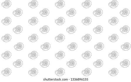 A hand-drawn black outline of a rapana shell on a white background. sea pattern