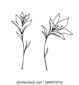 Hand-drawn black outline vector drawing. Set of spring abstract flowers, leaves on a white background. Elements of nature, garden for the design of postcards, patterns.