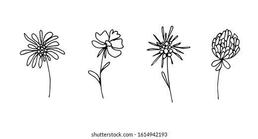 Hand-drawn black outline vector floral set of wildflowers, branches, stems isolated on a white background. For the spring-summer season, stickers, labels, prints.