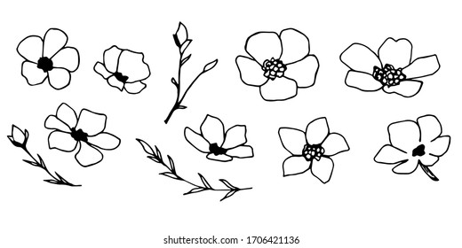 Hand-drawn black outline vector floral set. Simple flowers, different shapes, petals, twigs. Elements of nature to create a pattern, sticker, print, label, logo. Spring summer season.