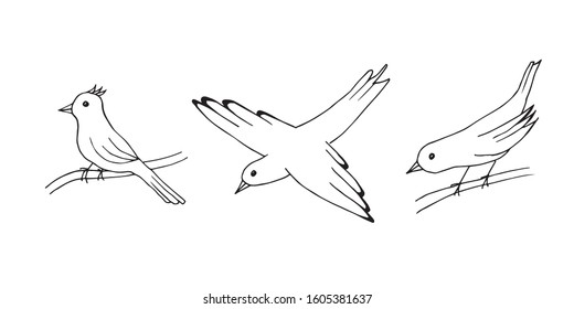 Hand-drawn black outline vector set of simple little birds isolated on white background, sitting on a branch, in flight.