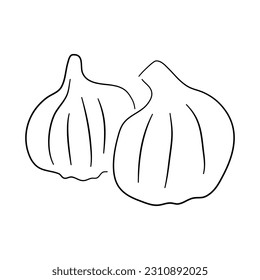 Hand-drawn black sketch of garlic in a doodle icon. Vector illustration.