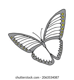 A Hand-drawn black vector illustration of one gray and yellow butterfly is flying on a white background