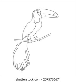 A Hand-drawn black vector illustration of one toucan bird is sitting on a branch on a white background