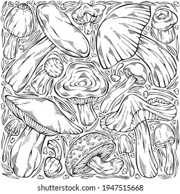 Hand-drawn black and white forest wild collection of assorted edible mushrooms, leaves and berries. Can be used for menu design, label, icon, recipe, packaging, web. Botanical vector set