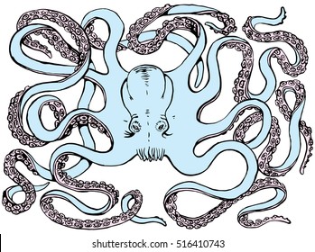 Hand-drawn Black and White illustration Octopus.