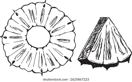 Ilustração a preto e branco desenhada à mão de uma seção transversal de abacaxi e uma cunha triangular em estilo de gravura vintage.