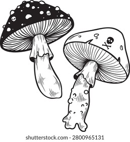Hand-drawn black and white illustration of two poisonous mushrooms decorated with skull symbols, conveying danger and mystery. Suitable for Halloween art, warning labels, tattoo designs, packaging, and editorial use.