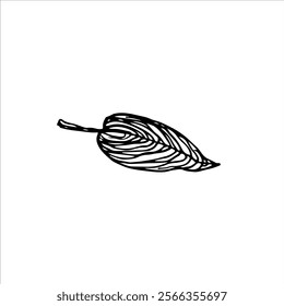 Hand-drawn black and white leaf design with organic details. Perfect for rustic decor, nature art, or vintage-inspired illustrations.
