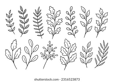 Hand-drawn black and white leafy branches