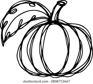 Hand-Drawn Black and White Pumpkin Sketch with Leaf Isolated on White Background