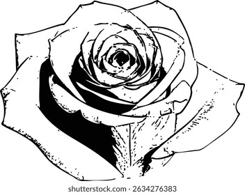 Cabeça de rosa preta e branca desenhada à mão — estilizada e romântica, ideal para tatuagem ou padrão retro. As pétalas são estilizadas com linhas em negrito e sombreamento, dando-lhe uma aparência artística detalhada.