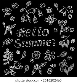 Hand-drawn black and white set of doodles of floral and plant design elements with lettering hello summer vector set of illustrations on a black background. For printing and textile postcards.