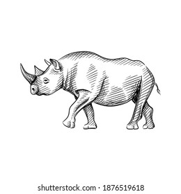 Hand-drawn black and white sketch of rhinoceros on a white background. Wild life. Wild animals. Blakc and white rhino 