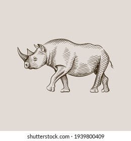 Hand-drawn black and white sketch of rhinoceros on a white background. Wild life. Wild animals. Blakc and white rhino	
