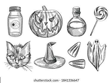 Hand-drawn black and white sketch set of Halloween attributes. Glass jar with eyeball, pumpkin Jack-o-lantern, potion glass jar, lollipop, zombie cat, wizard witch hat, corn cone, ghost in white