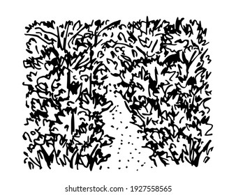 Hand-drawn black and white vector doodle drawing. Overgrown forest path, jungle, thickets of wild plants. Walk, exit, dead end.