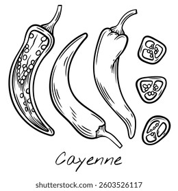 Hand-drawn black and white vector illustration of whole and sliced cayenne peppers. Perfect for food packaging, restaurant menus, and spicy ingredient branding.