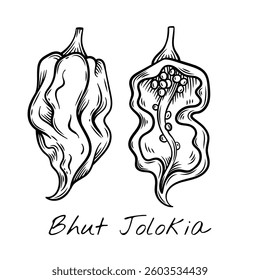 Hand-drawn black and white vector illustration of Bhut Jolokia peppers, showcasing their unique shape and texture. Ideal for food packaging, restaurant menus, and spicy ingredient branding.