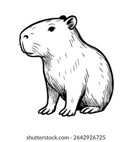 Hand-drawn black and white vector illustration of a sitting capybara in vintage engraving style. Perfect for logos, labels, educational materials, wildlife prints, and retro-themed designs.