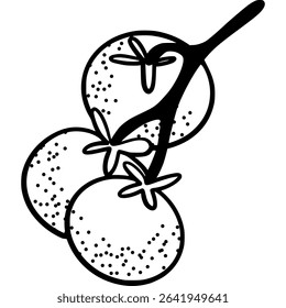 Hand-drawn black and white vine tomatoes illustration. Ripe red tomatoes on a vine, perfect for food, farming  or recipe design themes.