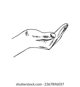Hand-drawn black-and-white sketch of empty open hand gesture isolated on white background. Eco, ecology care, saving the nature, harvest concept. Doodle vector illustration. Vintage.