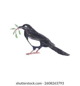 Hand-Drawn Blackbird Holding Green Leaves Illustration on White Background  