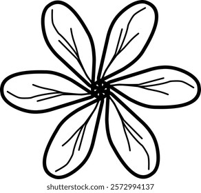 Handdrawn blackwhite bw sketch scratch scrawl doodle flower flora nature radial line radialline radialflower symmetricalflower symmetricalline circleline circle abstractflower abstract abstractline