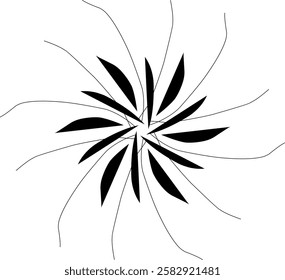 Handdrawn blackwhite sketch scratch scrawl doodle flower flora nature radial line radialline radialflower symmetricalflower symmetricalline circleline circle abstractflower abstract abstractline cycle