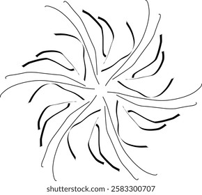 Handdrawn blackwhite sketch scratch scrawl doodle flower flora nature radial line radialline radialflower symmetricalflower symmetricalline circleline circle abstractflower abstract abstractline cycle