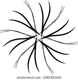 Handdrawn blackwhite sketch scratch scrawl doodle flower flora nature radial line radialline radialflower symmetricalflower symmetricalline circleline circle abstractflower abstract abstractline cycle