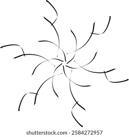 Handdrawn blackwhite sketch scratch scrawl doodle flower flora nature radial line radialline radialflower symmetricalflower symmetricalline circleline circle abstractflower abstract abstractline cycle