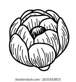 Vetor De Flor Desenhado À Mão. Ilustração de Arte com Linha Botânica em Preto-e-Branco