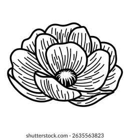 Hand-Drawn Blooming Flower Vector. Black and White Botanical Line Art Illustration