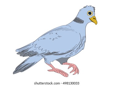 hand-drawn blue and gray pigeon
