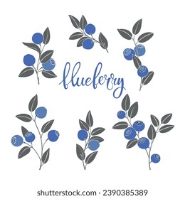 Hand-drawn blueberry branches. Isolated elements for design on white. Vector. Excellent for packaging, logo, menu, label, poster, print. Detailed hand drawn food. 