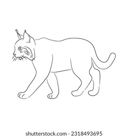 Handgezeichnet Bobcat. Skizze, Vektorgrafik. 