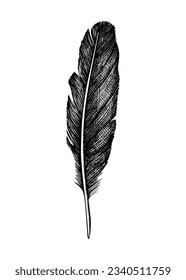 Hand-drawn boho design element in graphic style. Crow feather sketch isolated on white. Vector magic illustration for witchcraft, alchemy, Halloween decor in engraved style