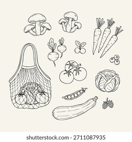 Conjunto de garabatos botánicos dibujados a mano de ilustraciones simples de líneas de hojas y plantas. Arte minimalista de línea negra ideal para pegatinas, patrones, marcas, empaques y redes sociales