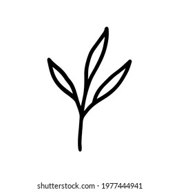 Hand-drawn botanical element on white background. Black plant doodle vector.
