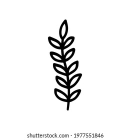 Hand-drawn botanical element on white background. Black plant doodle vector.
