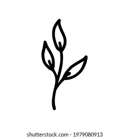 Hand-drawn botanical element on white background. Black plant doodle vector.