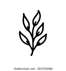 Hand-drawn botanical element on white background. Black plant doodle vector.