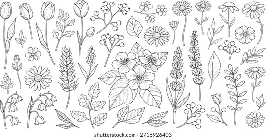 Hand-drawn Botanical Elements Collection in Black and White Line Art Style, Featuring Various Flowers, Leaves, and Berries for Nature-Inspired Design Projects