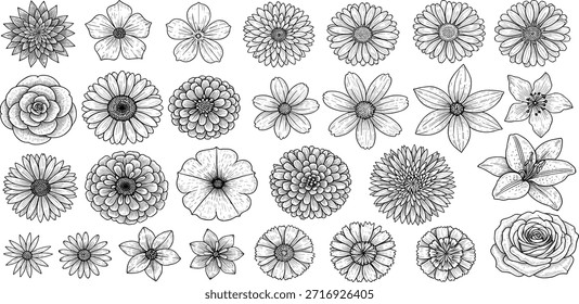 Hand-drawn Botanical Elements Collection in Black and White Line Art Style, Featuring Various Flowers, Leaves, and Berries for Nature-Inspired Design Projects