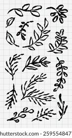 Hand-drawn botanical elements with leaves and branches. Black ink leaves and branches on grid paper. Botanical design with natural leaves and branches. Hand drawn botanical illustrations vector set.