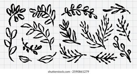 Hand-drawn botanical elements on grid paper. Black ink leaves and branches. Botanical sketches, botanical art.
