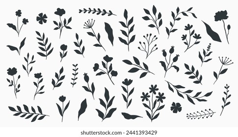 Hand-drawn botanical elements. Set of silhouettes of flowers, plants, leaves